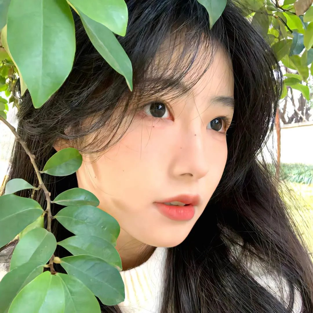 狼群之中 在线观看